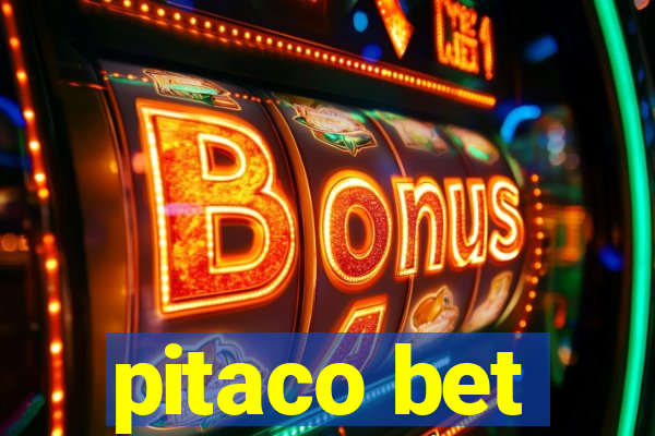 pitaco bet